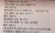 江南体育-沃尔夫斯堡主场3-1胜弗莱堡，豪取三分稳固积分榜前列位置